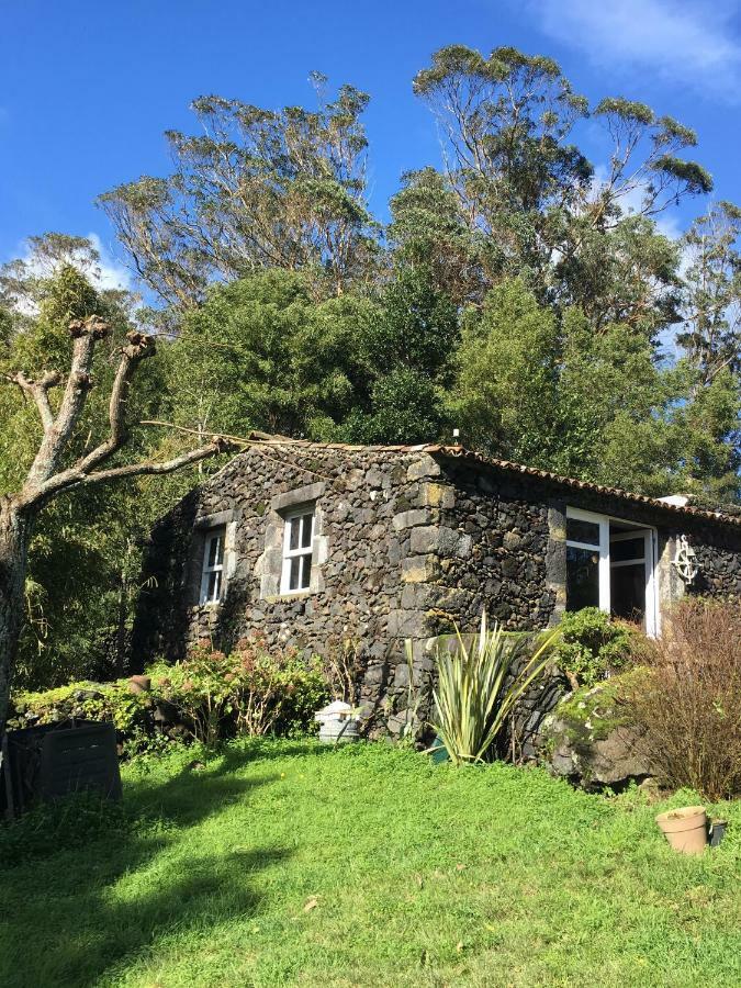 Pink House Azores Ponta Delgada  Ngoại thất bức ảnh