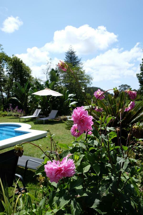 Pink House Azores Ponta Delgada  Ngoại thất bức ảnh
