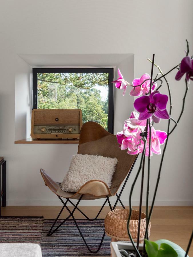 Pink House Azores Ponta Delgada  Ngoại thất bức ảnh